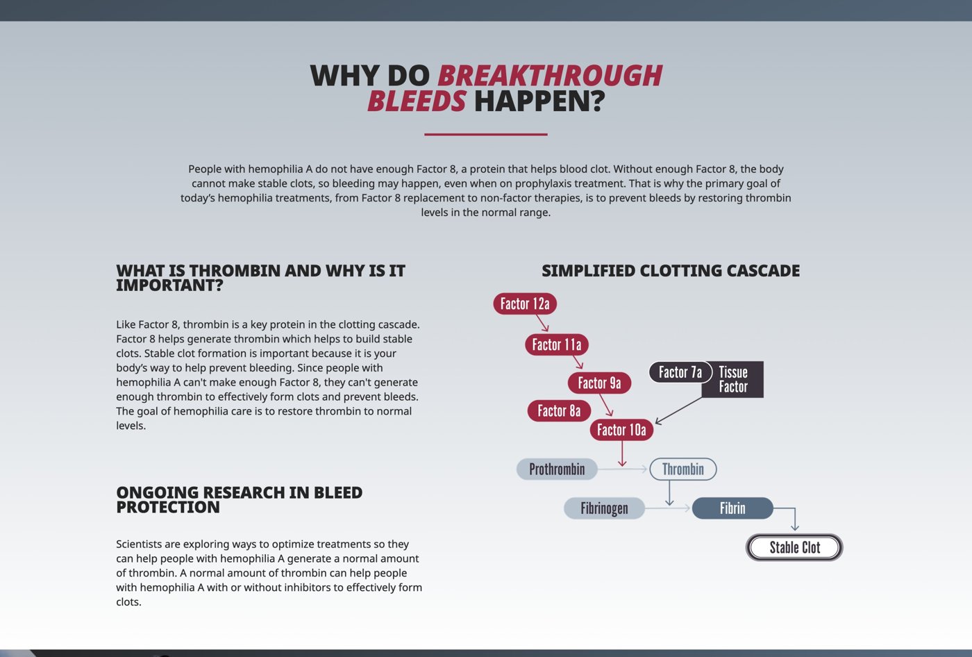 BLEED-5 — Why it happens: the role of thrombin + the simplified clotting cascade.